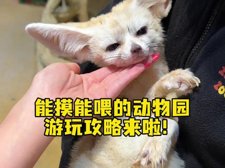 在武汉能摸能喂的动物园你去过吗 #室内动物园 #野生动物零距离 #亲子游玩好去处 #情侣约会 #武汉zoolung动物主题公园