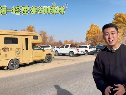 只有去过新疆,才算领略到真正的秋色,房车开进胡杨林深处赏秋景#房车旅行 #塔里木胡杨林 #家和远方的旅行 #上热门