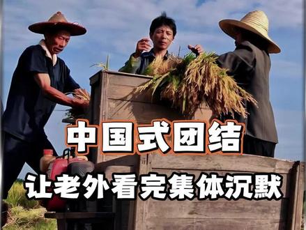 “襄阳抢收”中国人的团结,让老外集体沉默 #硬核深度计划 #中国式团结 #收麦