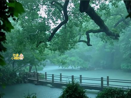 再cos烟雨江南北方人就真要长出鳃来了。#青岛 #北方 #烟雨江南 #冷知识 #娱乐评论大赏