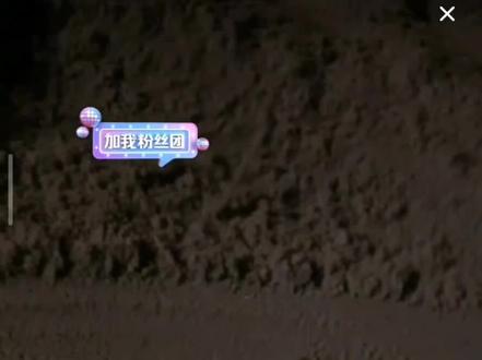 大哥凌晨带树家军看大海,超级超级爱了