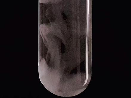 #化学实验 氯化钡与稀硫酸@抖音小助手