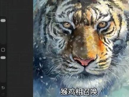 #dou上热门 #十二生肖拼豆主打一个抽象 #十二生肖偏心版 #procreate绘画 #日常vlog @DOU+小助手 @抖音小助手 @DOU+上热门 @抖音创作小助手 @DOU+好生意 @@DOU+抖音