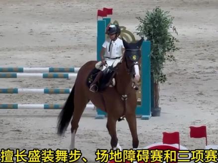 十二生肖动物之马,带你看一些颜值超高的马,其中有你的理想型吗?#马到成功 #动物 #马 #科普 #颜值