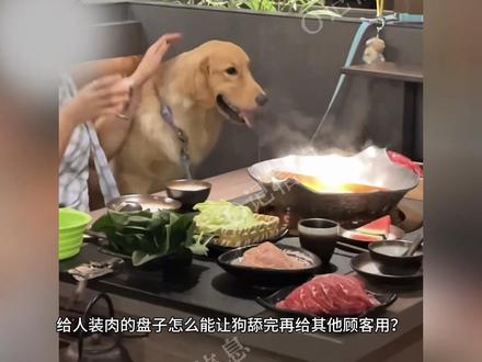 北京女子带狗上桌舔盘吃羊肉#热点 #热点新闻事件