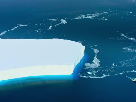 海底到底有哪些神秘生物#海洋生物 #海底世界 #动物世界