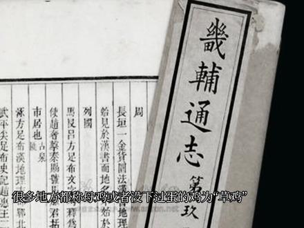 胶东方言“草鸡”#乡音乡愁