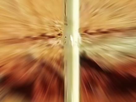 特朗普下达“48小时最后通牒“,伊朗发动75轮导弹奉陪到底! #全球创作者计划