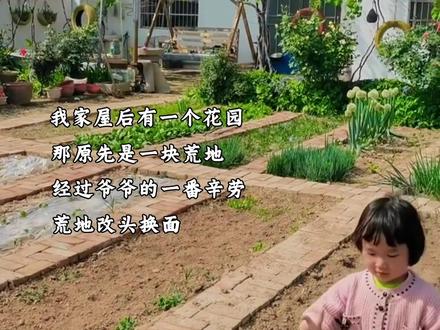 四下第一单元:我的乐园🫧写作思路及范文#四年级 #小学作文