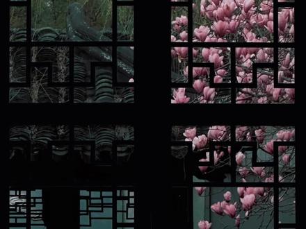 直男世界观重塑中。#美人印 #广播剧 #猫耳