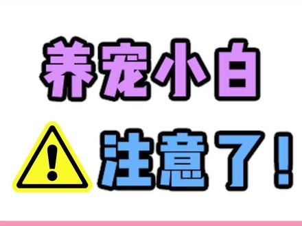 为啥猫狗粮中不该有BHA/BHT?#科学养宠攻略 #萌宠出道计划 #养宠进阶指南 #猫粮#狗粮