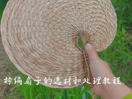棕编扇子的选材和变白处理教程 #农村生活 #棕编扇子