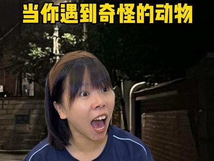 当你遇到奇怪的动物 #内容太过真实 #科普 #一人分饰多角