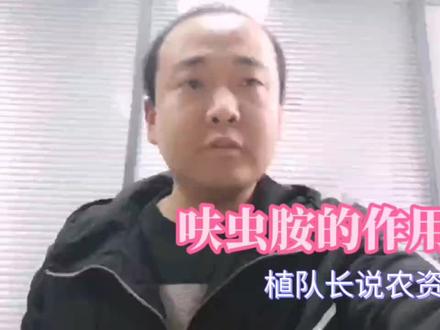 呋虫胺的作用及使用方法