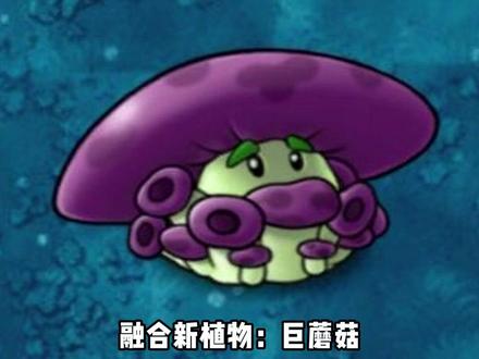 融合新植物:巨蘑菇#植物大战僵尸融合版