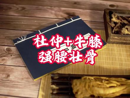 每天认识一味中药材 杜仲+牛膝,该配伍食用便捷,可一同煎服、泡酒,或搭配瘦肉煲汤。需注意,孕妇、月经量过多者禁用牛膝,阴虚火旺者慎用二者,不可过量服用,且不能替代药物,建议在专业医师指导下使用。#养生 #中药材