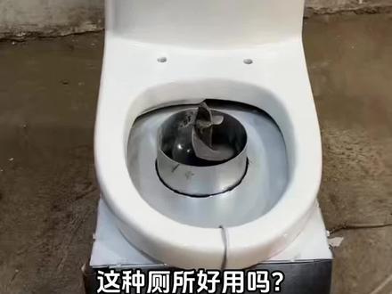 这种厕所好用吗?#科普 #厕所