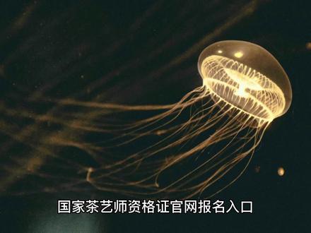 国家茶艺师资格证官网报名入口