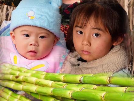 能陪在几个孩子身边,苦点累点也值得,也是一种幸福。#舒晨曦 #农村队长 #舒晨曦爸爸 #舒小兵