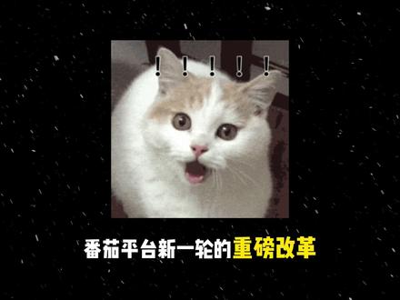 番茄重拳出击,AI还能辅助写小说吗?你有被误伤吗? #小说#ai写作#番茄小说#小说违规#新手作者