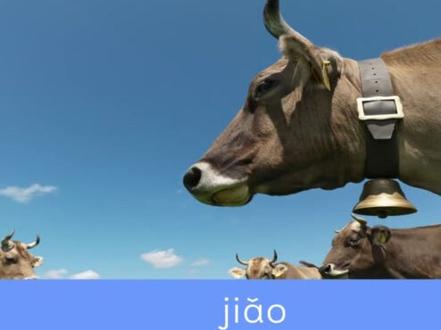 一起识字:“角”| 阶段一(共300字) #认字识字 #幼小衔接 #幼升小