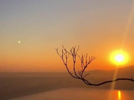 看好自己的孩子 #故事会 #海洋故事会