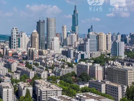 南京,一座真正的疯狂动物城:出现过野猪、獐子、野牛、孔雀……