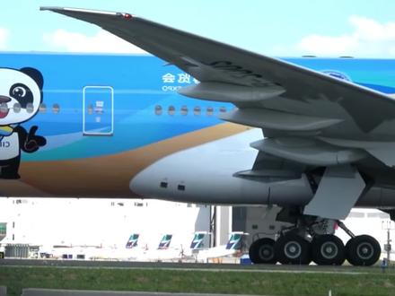 航空白金卡怎么获得,获取白金卡需要什么条件? #航空白金卡 #航空白金卡需要什么条件 #航空白金卡怎么获得