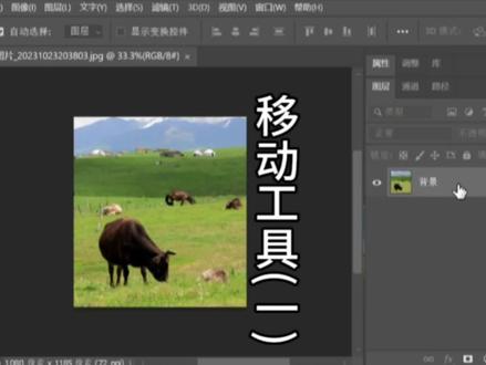 PS移动工具PS移动复制功能PS移动图片PS入门基础教学PS初学者教程 #ps基础 #ps初学者教程 #PS入门
