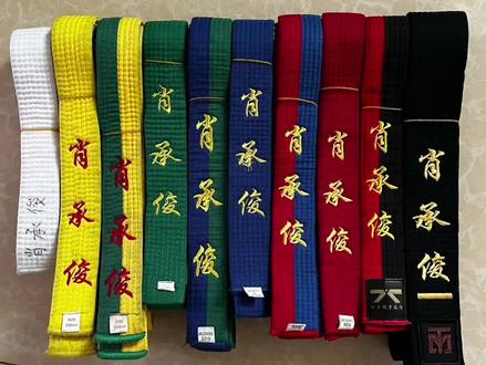 6年时间眨眼就过,记录一下小家伙从白带到黑带的过程,一年级开始学。小小的一个,看着你一级带一级带的晋级。六年级黑带到手啦!感谢曾教练6年来的陪伴和教导。#记录成长的每一个瞬间 #跆拳道 @抖抖音小助手