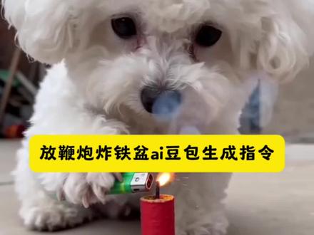ai放鞭炮炸铁盆豆包指令#豆包ai #豆包出大片有两把刷子#小狗放鞭炮 #小狗ai放鞭炮 放鞭炮搞笑视频 #a放鞭炮特效 放鞭炮失误视频 小狗放鞭炮ai 苏a放鞭炮视频 鞭炮炸狗搞笑视频