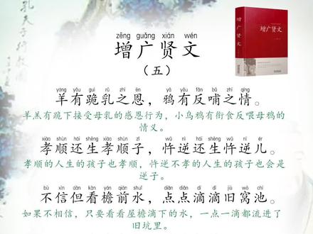 《增广贤文》五#增广贤文 #增广贤文智慧人生 #增广贤文语录