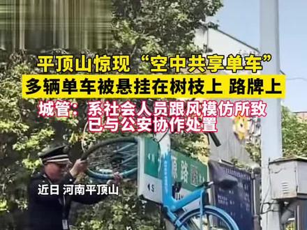 平顶山惊现“空中共享单车”。多辆单车被悬挂在树枝上、路牌上。城管:系社会人士跟风模仿所致,已与公安协作处理。