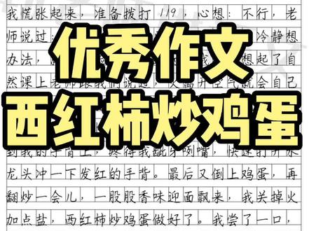 优秀作文《西红柿炒鸡蛋》#作文素材 #中小学 #如何写好作文 #作文 #小学生作文写作技巧