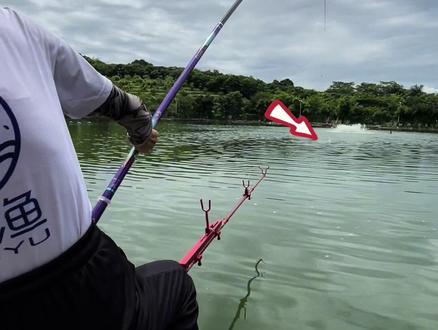 在晒房和晒车中,你选择了晒黑。在脱贫和脱单中,你选择了脱钩…#钓鱼 #原来钓鱼才是抖音运动顶流 #2023dou来钓鱼 @牧渔枭青户外旗舰店