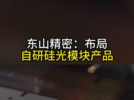 东山精密布局自研硅光模块 #硅光模块