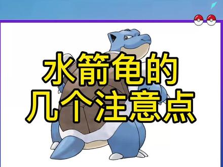 水箭龟的几个注意点#宝可梦大集结 #精灵宝可梦 #宝可梦