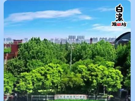潍坊学子斩获国际金牌#潍坊一中