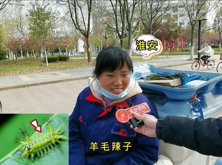 你们那方言怎么说呢? #街坊 #方言