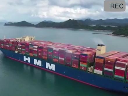 国际海运外贸出口流程#国际物流 #进出口贸易 #海运