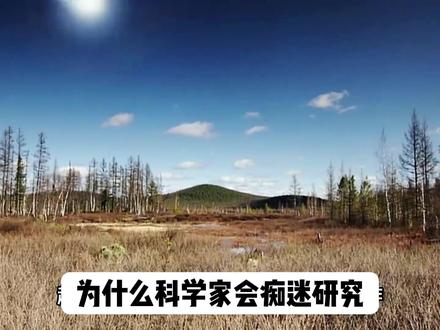 为什么科学家会痴迷研究通古斯大爆炸 #通古斯大爆炸
