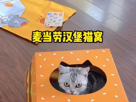 主子病了3天了,今天跟风买了个麦当劳汉堡猫窝,希望小家伙快快康复呀!#纸盒改造 #麦当劳#美短虎斑