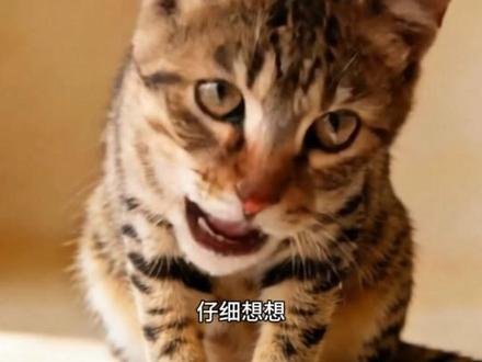 ai叫哥哥太小了教程 #ai叫哥哥 #叫哥哥