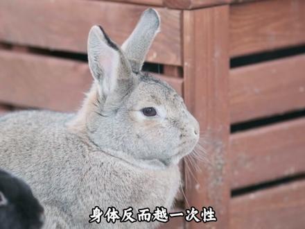 把它切成279块,它就变成了279个新生命! #动物科普 #再生 #涡虫#青年创作者成长计划 如果把你切成两半,你会消失,但如果把它切成279块,它会变成279个活蹦乱跳的新生命,它们拥有造物主赋予的最强外挂。