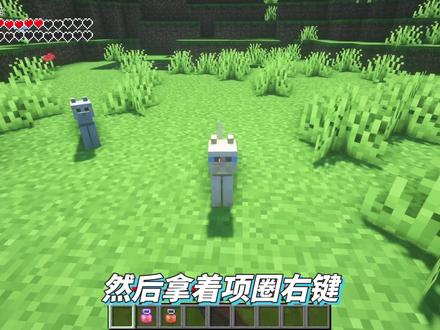 变身魔宠召唤师 1.18.2有趣实用宠物#模组 #我的世界 #Minecraft #MC #MOD