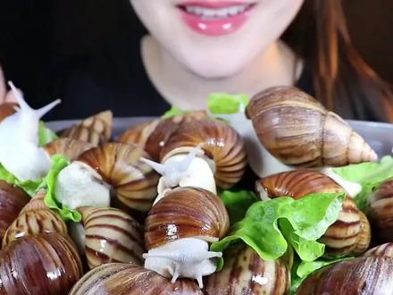 韩国吃播小姐姐吃蜗牛🐌#咀嚼音解压 #美食搬运工#深夜放毒