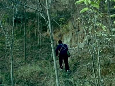 河南老农挖出7000年前的国宝文物,上交文物获得5双手套 #文物 #考古 #文物故事