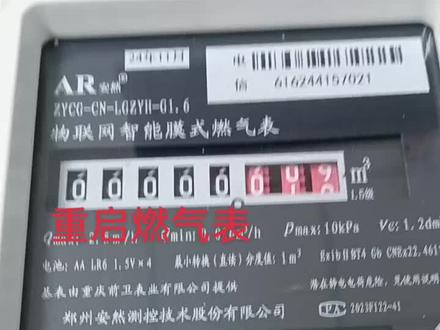 #用力活着 怎样复位远传燃气表!