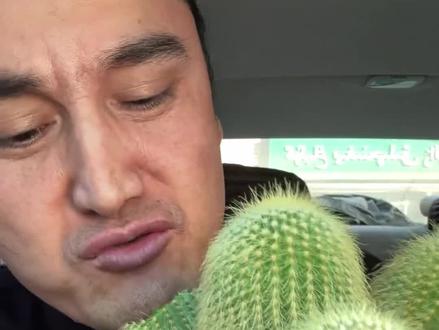 有些仙人掌是能吃的。比猕猴桃都甜。#拒绝废话#科普#冷知识#省流 #知识科普