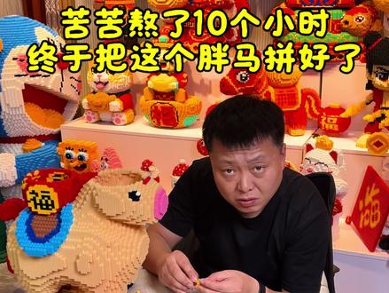 硬生生熬了10个小时终于把这款福马拼好了。 #积木 #解压 #马年摆件 #新年礼物 #手工diy